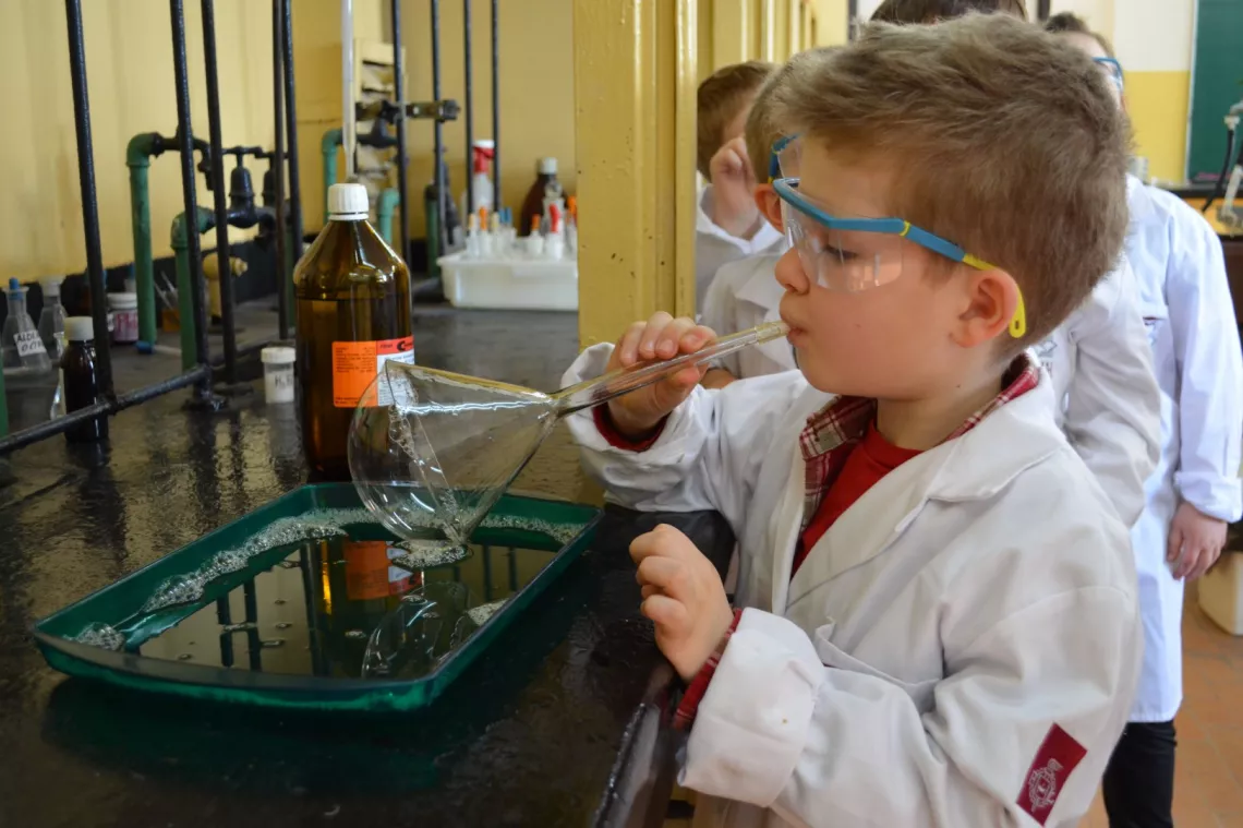 Zajęcia w laboratorium