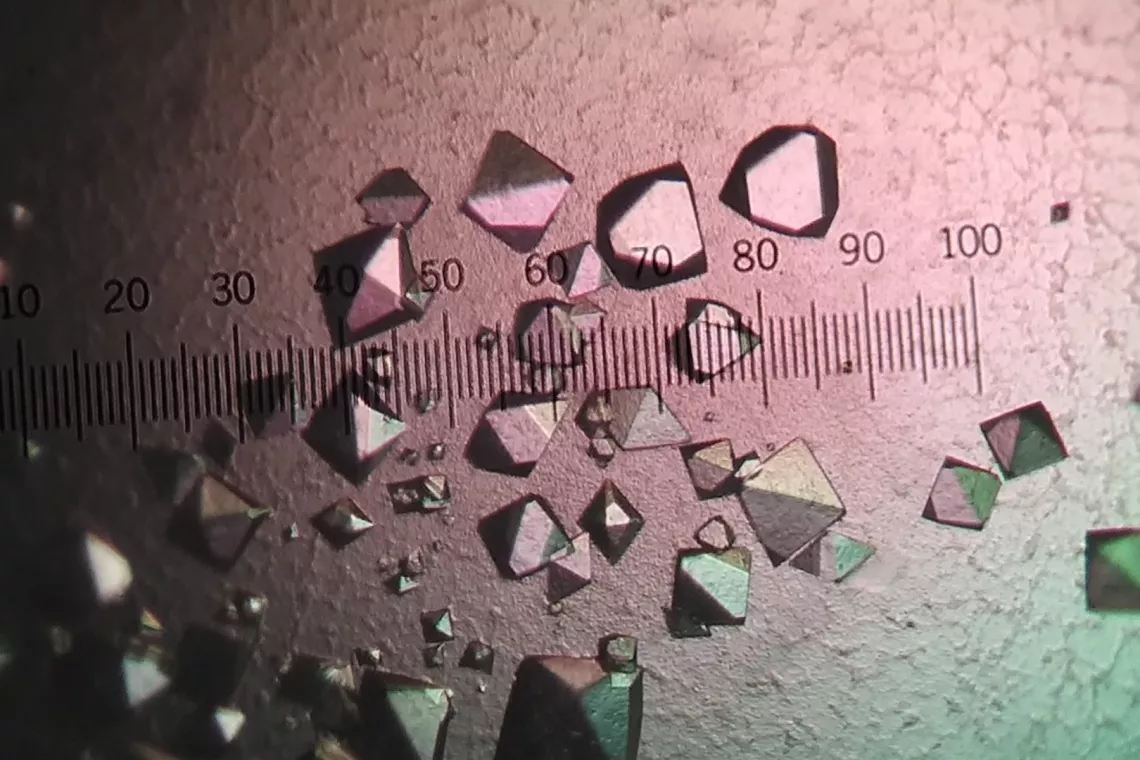 Przykładowe kryształy białek, na podstawie których można rozwiązać strukturę molekularną