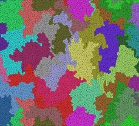 Przykładowy wynik symulacji obrazujący dwuwymiarowy atermiczny stop polimerowy o stężeniu równym jedności dla łańcuchów o długości 1024 otrzymany metodą CMA