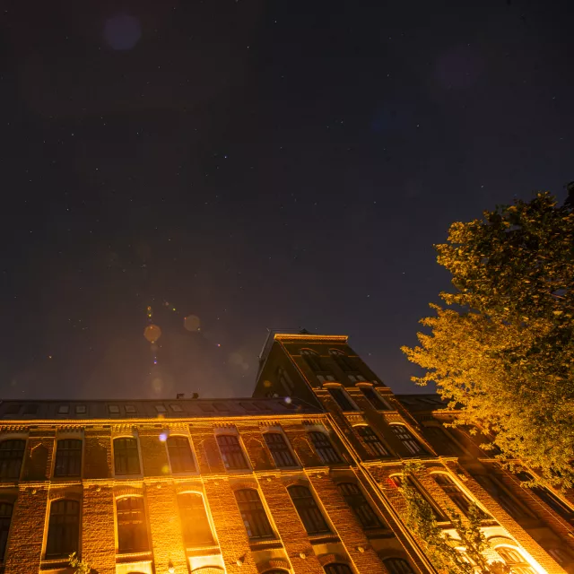 Oświetlony budynek i drzewo na tle ciemnego nieba