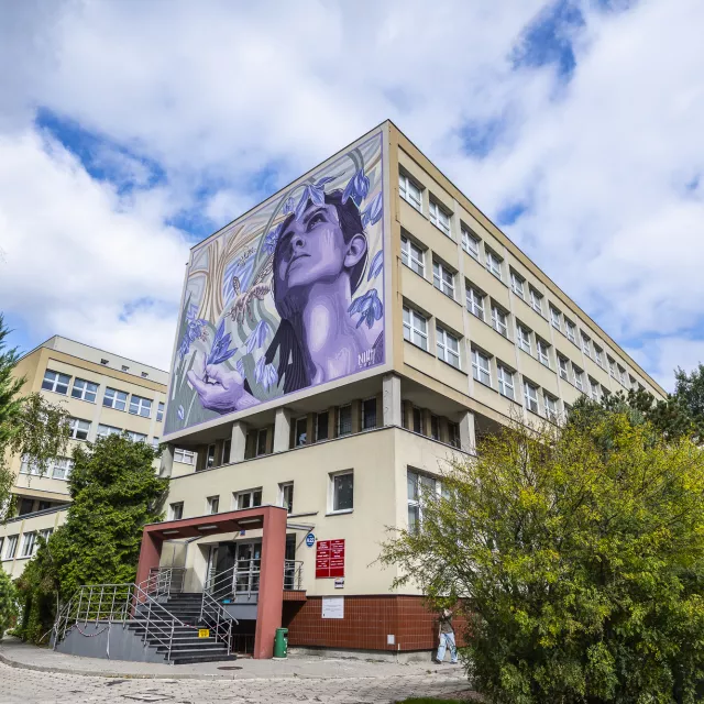 Mural na ścianie budynku