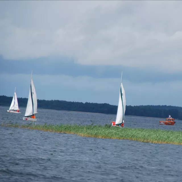 żaglówki uczestniczące w regatach