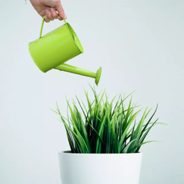 Akademia Dobrych Nawyków